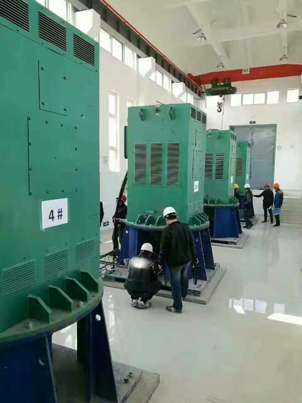 兴宁某污水处理厂使用我厂的立式高压电机安装现场安装尺寸